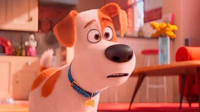 'Mascotas': el nuevo tráiler nos descubre la vida secreta de los animales de compañía noticias imagen