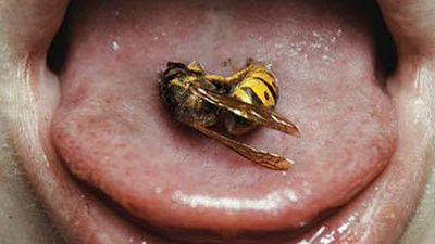 'Dead of Summer': Tráiler y pósters de la nueva serie de terror de los creadores de 'Once Upon a Time' noticias imagen