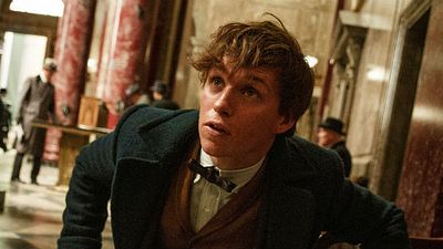 'Animales fantásticos y dónde encontrarlos': Conoce el museo en el que se inspiran los decorados de la película noticias imagen