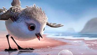 Te contamos todo sobre 'Piper', el corto que acompaña a 'Buscando a Dory'