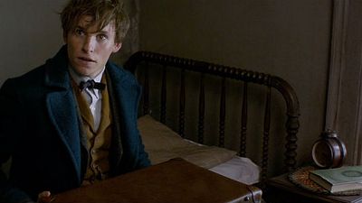 'Animales fantásticos y dónde encontrarlos': Conoce al Escarbato y el Mal Acechador, dos nuevas criaturas de la película noticias imagen