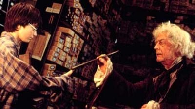 'Harry Potter': ¿Cómo puede mantener su negocio Ollivander? noticias imagen