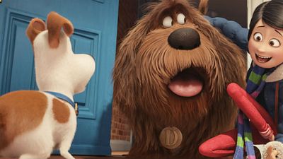 'Mascotas' tendrá una secuela en 2018 noticias imagen