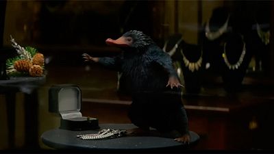 'Animales fantásticos y dónde encontrarlos': Bichos adorables y escenas increíbles en el tráiler final con subtítulos en español noticias imagen