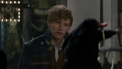 'Animales fantásticos y dónde encontrarlos': Newt Scamander irrumpe en el mundo mágico de Nueva York en el tráiler final en español noticias imagen
