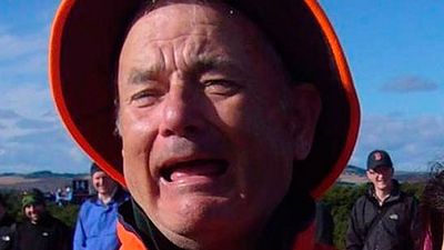 ¿Bill Murray o Tom Hanks? La imagen que ha dado la vuelta a Internet noticias imagen