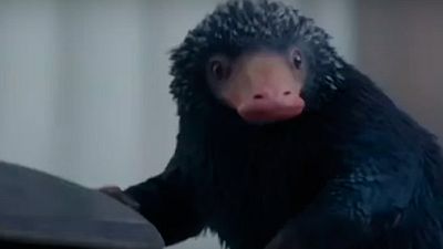 'Animales fantásticos y dónde encontrarlos': Emoción, Newt Scamander y criaturas en el último adelanto noticias imagen