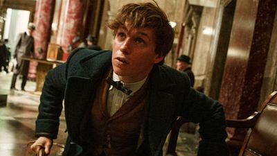 'Animales fantásticos y dónde encontrarlos': ¿Será Newt Scamander el protagonista de las cinco películas? noticias imagen