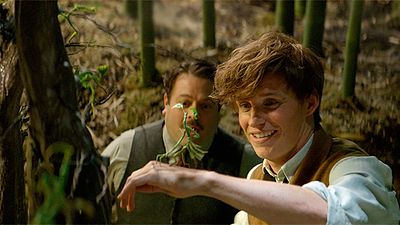'Animales fantásticos y dónde encontrarlos', "pura magia", anota un 100% en la web de críticas 'Rotten Tomatoes' noticias imagen