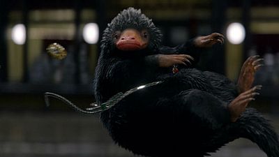 'Animales fantásticos y dónde encontrarlos': Te explicamos cómo son las 8 criaturas más importantes de la película noticias imagen