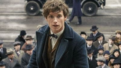 'Animales fantásticos y dónde encontrarlos': Newt Scamander aparece en 'Harry Potter' y no te diste cuenta noticias imagen