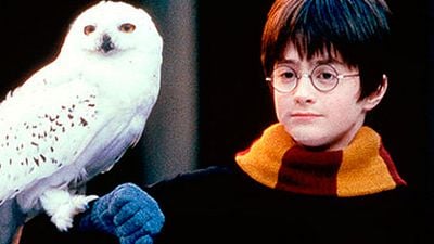 'Harry Potter': La banda sonora envía un mensaje mucho más potente de lo que pensamos noticias imagen