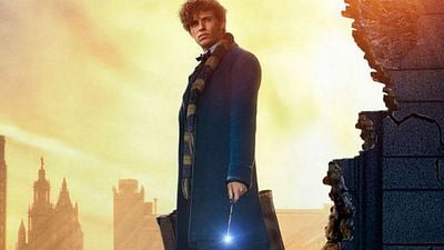 'Animales fantásticos 2': Zoe Kravitz habla sobre la relación entre Leta y Newt noticias imagen