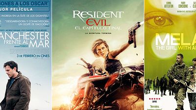 Los estrenos en España esta semana (30 de enero al 5 de febrero) noticias imagen