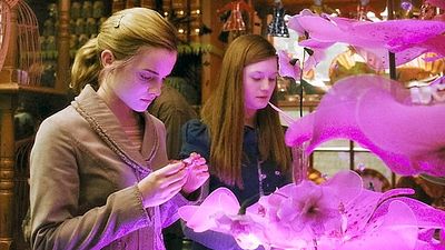 'Harry Potter': Una 'YouTuber' te enseña a hacer la poción de amor de 'El Misterio del Príncipe' noticias imagen