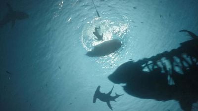 'Piratas del Caribe: La venganza de Salazar': Un 'concept-art' revela los tiburones fantasma de la película noticias imagen