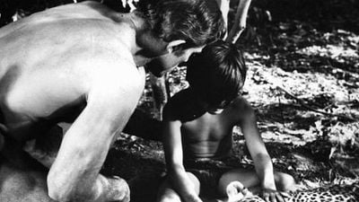 Muere Robert Day, director de 'Tarzán el justiciero' (1960), a los 94 años de edad noticias imagen