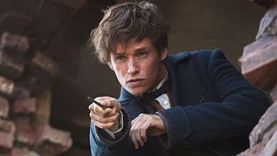 Teoría 'Harry Potter': ¿Y si las palabras en los hechizos de la saga no fueran necesarias? noticias imagen