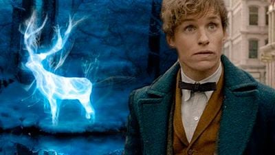 'Animales fantásticos y dónde encontrarlos': Esta teoría intenta descubrir el patronus de Newt Scamander