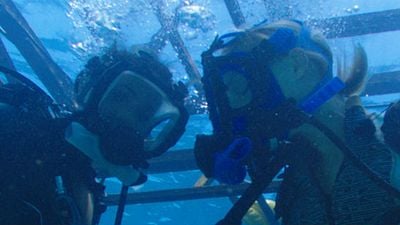 Ernest Riera ( 'A 47 metros'): "La planteamos como una especie de descenso al infierno" noticias imagen