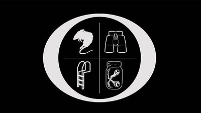 'Ozark': Esto es lo que verdaderamente significa la intro de la nueva serie original de Netflix noticias imagen