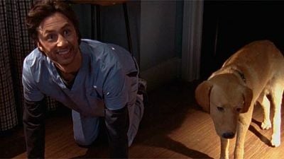 'Scrubs': Esto es lo que ocurrió con Revoltoso, el perro disecado de la serie noticias imagen