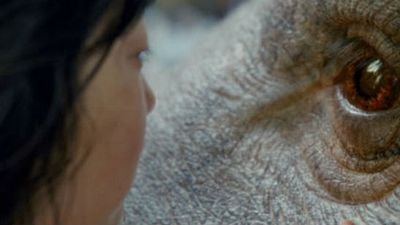 6 películas sobre mascotas que puedes ver en Netflix noticias imagen