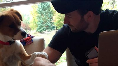 El reencuentro de Chris Evans con su perro que se ha hecho viral