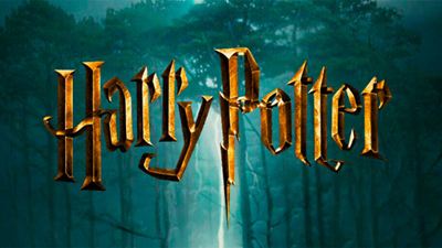Viaja a Hogwarts con esta Wootbox especial con contenido 100% de 'Harry Potter'