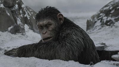 'La guerra del Planeta de los Simios' : Andy Serkis podría volver para futuras películas de la saga noticias imagen