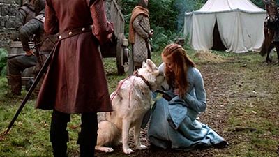 Muere Zunni, la huargo Dama que Sophie Turner adoptó del set de 'Juego de tronos' noticias imagen