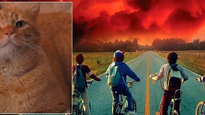 'Stranger Things': los fans ya piden #JusticeforMews en las redes sociales noticias imagen