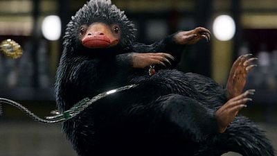 'Animales fantásticos: Los Crímenes de Grindelwald': Eddie Redmayne revela qué criaturas regresan en la secuela  noticias imagen
