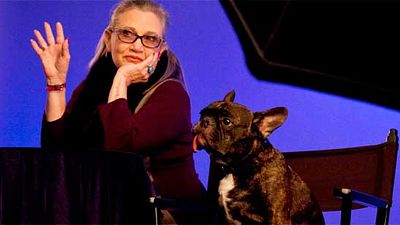 'Star Wars 8: Los últimos Jedi': Aseguran que el perro de Carrie Fisher la reconoció mientras veía la película noticias imagen