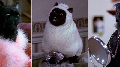 'Sabrina, cosas de brujas': 20 imágenes de Salem que le convierten en la mascota perfecta