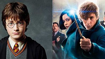 'Animales fantásticos y dónde encontrarlos': Un familiar de Harry Potter aparece en la película  noticias imagen