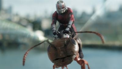 'SPOILERS' 'Ant-Man y la Avispa': ¿Cómo se llaman las nuevas hormigas voladoras de Scott?