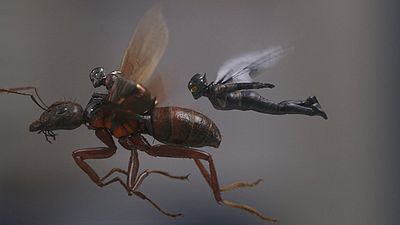 TEST: Cómo se llamaría tu hormiga voladora en 'Ant-Man y la Avispa' noticias imagen