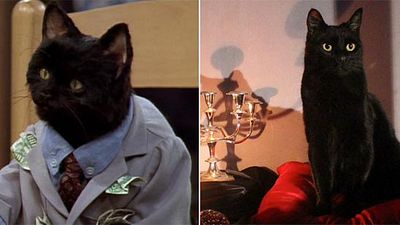 La nueva 'Sabrina' casi sustituye a Salem por un perro noticias imagen