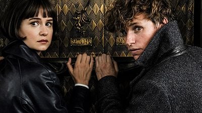 ¿Aparece Groot en el tráiler de 'Animales Fantásticos: Los Crímenes de Grindelwald? noticias imagen