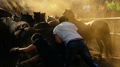 Xacio Baño: "En 'Trote' pasamos de una película humana a otra más animal" noticias imagen