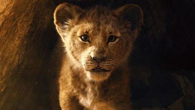 'El rey león' no es acción real y sí una película de "animación hiperrealista" según Billy Eichner (Timon)