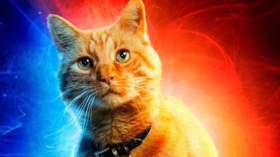 El gato de 'Capitana Marvel', lo mejor de la película según las primeras reacciones noticias imagen