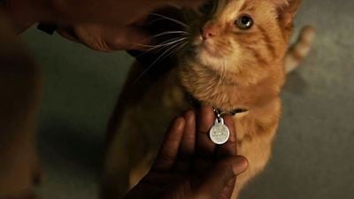 ¿Confirmados los poderes de Goose, el gato de 'Capitana Marvel'?