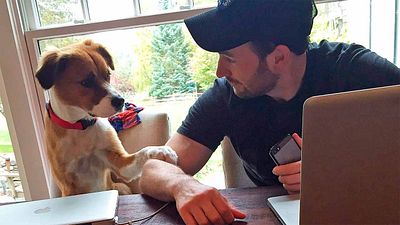 Chris Evans comparte el momento en que conoció a su perro y derrite internet noticias imagen