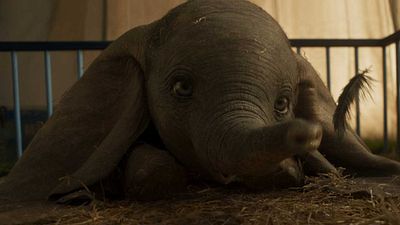 Las primeras reacciones a 'Dumbo' son muy positivas noticias imagen
