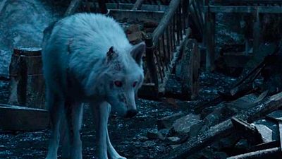 El director del 8x04 de 'Juego de tronos' justifica la injustificable despedida de Fantasma noticias imagen