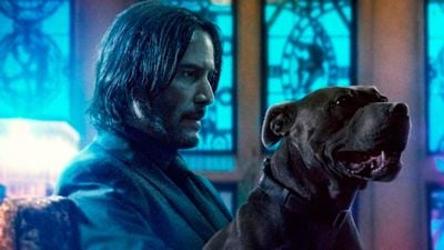 Miles de gatos causan el caos en el rodaje de 'John Wick 3'