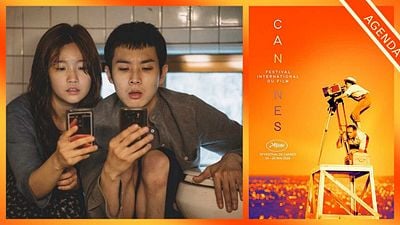Estas son las películas del Festival de Cannes 2019 que se verán en nuestro país noticias imagen