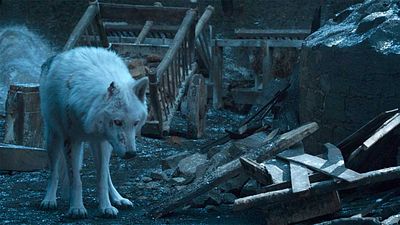 'Juego de Tronos' casi incluye una batalla dragón vs lobo huargo en la temporada 8 noticias imagen
